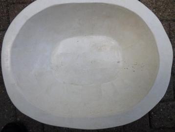  bak voor op tafel fossielen bak beschikbaar voor biedingen