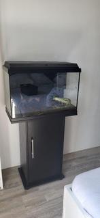 Aquarium met kast 60 liter, Dieren en Toebehoren, Vissen | Aquaria en Toebehoren, Zo goed als nieuw, Ophalen, Leeg aquarium
