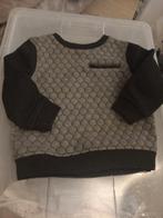 Trui maat 92, Kinderen en Baby's, Kinderkleding | Maat 92, Ophalen of Verzenden, Zo goed als nieuw, Jongen, Trui of Vest