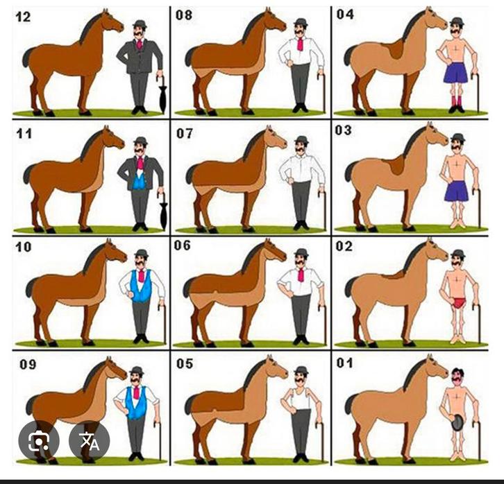 Paarden / pony’s scheren, Dieren en Toebehoren, Paarden en Pony's | Verzorgingsproducten, Ophalen