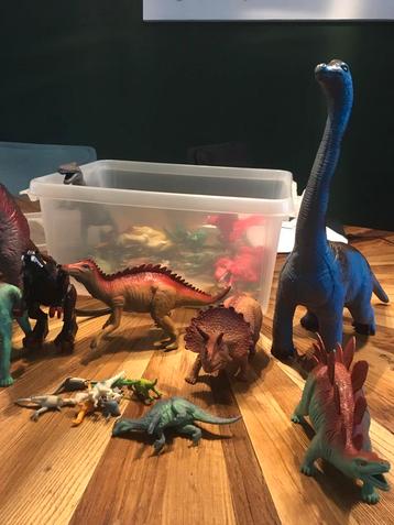 Dinosaurussen set van klein tot heel groot. Dino's beschikbaar voor biedingen