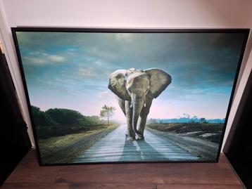 Schilderij olifant beschikbaar voor biedingen