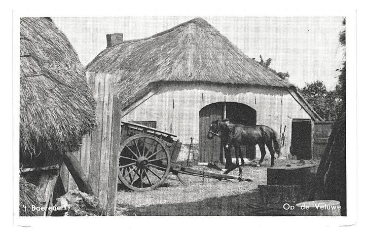 977624 Veluwe Gld Boerderij Boerderijtje Nette oude kaart on, Verzamelen, Ansichtkaarten | Nederland, Ongelopen, Gelderland, Ophalen of Verzenden