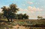 Heidelandschap met vee. Anthonie van Wijngaerdt (1808-1887), Antiek en Kunst, Kunst | Schilderijen | Klassiek, Ophalen