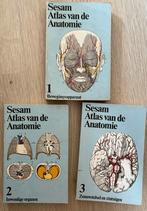 Sesam Atlas van de anatomie. 3 Delen., Ophalen of Verzenden, Gelezen, Dieet en Voeding