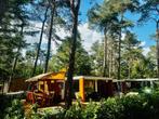 4* Capfun Luxe 4p chalet met Jacuzzi op de Veluwe, Vakantie, 2 slaapkamers, Recreatiepark, Gelderland en Veluwe, Chalet, Bungalow of Caravan