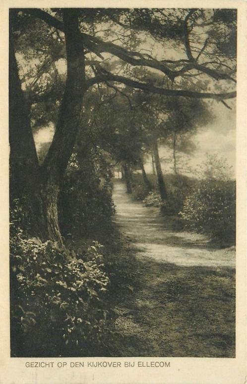 (701-041-013) Ellecom Kijkover, Verzamelen, Ansichtkaarten | Nederland, Gelderland, Verzenden