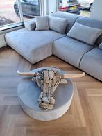 Drijfhouten schedel buffel 1,1m breed, Huis en Inrichting, Woonaccessoires | Wanddecoraties, Gebruikt, Ophalen of Verzenden