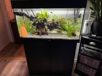 juwel rio 125 met filter, Dieren en Toebehoren, Vissen | Aquaria en Toebehoren, Ophalen of Verzenden