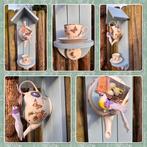 Feestdagtip! JBS Fruit & Flowers Theepot Vogelhuisje, Ophalen of Verzenden, Nieuw