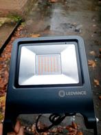 2x LEDVANCE Endura Flood 50W LED Schijnwerper, Tuin en Terras, Buitenverlichting, Minder dan 50 watt, Waterbestendig, Ophalen of Verzenden