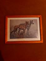 Antieke/vintage greyhound tekening in houten lijstje, Ophalen of Verzenden