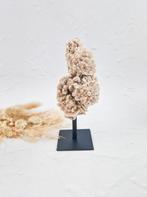 Woestijnroos op standaard steen edelsteen, Ophalen of Verzenden, Mineraal