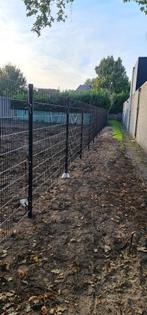OPRUIMING! 50 Meter Dubbelstaafmat 8/6/8 180cm Zwart, Ophalen of Verzenden, Nieuw, IJzer, Dubbelstaafmat hekwerk
