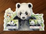 Pitcairn & Vanuatu 2009 Panda dieren - Postfris, Ophalen of Verzenden, Postfris