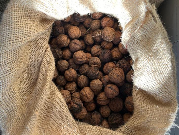 Verse walnoten, Diversen, Levensmiddelen, Ophalen