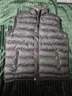 Tommy Hilfiger Bodywarmer - Maat XXL, Kleding | Heren, Blauw, Tommy Hilfiger, Maat 56/58 (XL), Ophalen of Verzenden