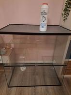 Glazen gerbil kooi, Dieren en Toebehoren, Knaagdieren en Konijnen | Hokken en Kooien, Kooi, Gebruikt, 75 tot 110 cm, Ophalen