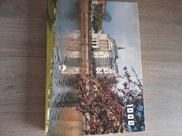 Legpuzzel 1000 stukjes - Zwaan en gebouw, Hobby en Vrije tijd, Denksport en Puzzels, Zo goed als nieuw, Legpuzzel, 500 t/m 1500 stukjes
