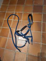 BR halster maat pony, Dieren en Toebehoren, Ophalen of Verzenden, Nieuw, Overige soorten