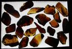 Amber (set), Ophalen of Verzenden, Fossiel