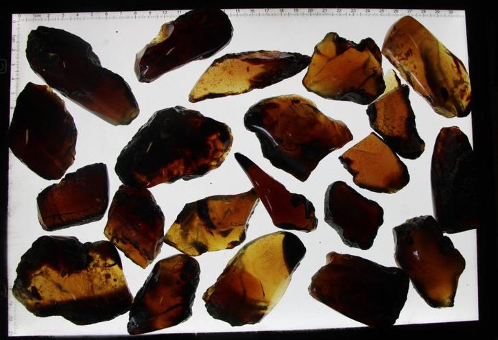 Amber (set), Verzamelen, Mineralen en Fossielen, Fossiel, Ophalen of Verzenden