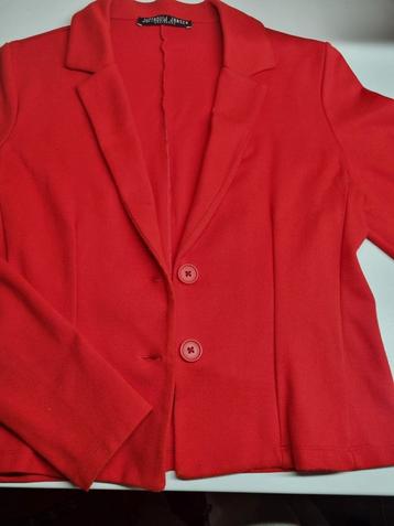 leuk jasje/blazer beschikbaar voor biedingen