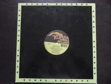 Brother Brown - Where are my organs ? (LP) beschikbaar voor biedingen