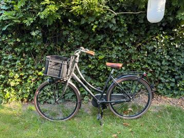 Cortina U4,28 inch, 50 cm beschikbaar voor biedingen
