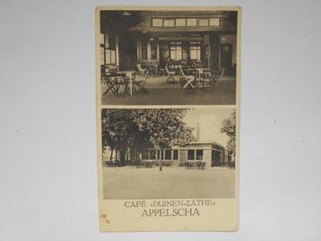 Appelscha 1928 het café Duinen-Zathe interieur en exterieur  beschikbaar voor biedingen