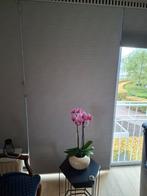 Plisse gordijn grijs, 100 tot 150 cm, 200 cm of meer, Nieuw, Ophalen of Verzenden