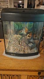 Aquarium, Dieren en Toebehoren, Vissen | Aquaria en Toebehoren, Ophalen, Leeg aquarium
