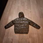 Groene gewatteerde jas, Kleding | Dames, Jassen | Winter, Ophalen of Verzenden, Nieuw, Groen