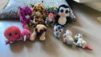 Ty beanie boos 12 stuks, Ophalen of Verzenden, Zo goed als nieuw, Overige typen