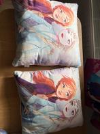 2x Frozen Kussentjes Primark, Ophalen of Verzenden, Zo goed als nieuw, Overige kleuren, Vierkant