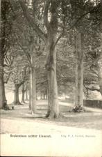 Elswout - Beukenlaan, Ophalen of Verzenden, Voor 1920, Ongelopen, Noord-Holland