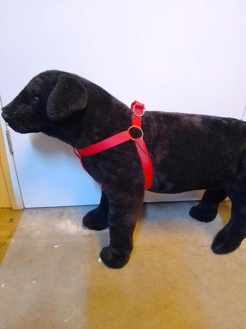 Tuig/stepp in Duvo plus rood/zwart/blauw XL 65-80cm, Dieren en Toebehoren, Hondenhalsbanden en Penningen, Nieuw, Ophalen of Verzenden