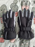 Dames winter handschoenen, Maat 46/48 (XL) of groter, Nieuw, Ophalen of Verzenden, Onbekend