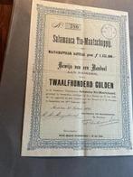 Oud aandeel Salamanca Tin-Maatschappij 1890, Verzenden, Voor 1920, Aandeel