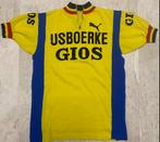 koerstrui ijsboerke gios, Ophalen of Verzenden, Gebruikt, Bovenkleding