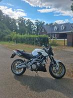 Aprilia Shiver 750  ABS - 2010 - Goed Onderhouden, Motoren, Motoren | Aprilia, Handvatverwarming, 2 cilinders, Particulier, Naked bike