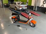 Retelli 2 persoons elektrische scooter, Fietsen en Brommers, Scooters | Overige merken, Ophalen, Maximaal 45 km/u, Elektrisch