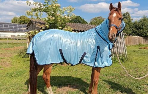 Nieuwe Blauwe Vliegendeken met vaste Hals Maat 195, Dieren en Toebehoren, Paarden en Pony's | Dekens en Dekjes, Nieuw, Deken, Ophalen of Verzenden