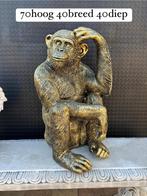 chimpansee, Ophalen, Woondecoratie eindhoven, Nieuw, Woondecoratie eindhoven