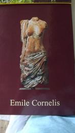 Emile Cornelis The sculpter gesigneerd, Ophalen of Verzenden, Zo goed als nieuw, Schilder- en Tekenkunst