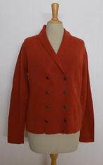 Mooi roestbruin 100% wollen vest van Blanche (Purdey) L, Kleding | Dames, Truien en Vesten, Verzenden, Zo goed als nieuw, Maat 42/44 (L)