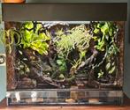 Prachtig groot Paludarium ecosysteem, Ophalen, Zo goed als nieuw, Terrarium of Paludarium