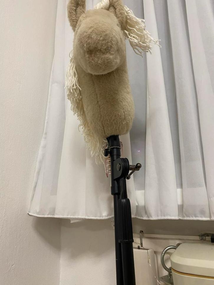 Hobby Horse - Stokpaardje, Kinderen en Baby's, Speelgoed | Overig, Zo goed als nieuw, Jongen of Meisje, Ophalen of Verzenden