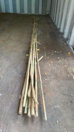 Bamboestokken, Ophalen, Nieuw, 180 tot 250 cm, Overige typen