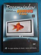 Dreamwindow - Goudvis, Alle leeftijden, Ophalen of Verzenden, Zo goed als nieuw